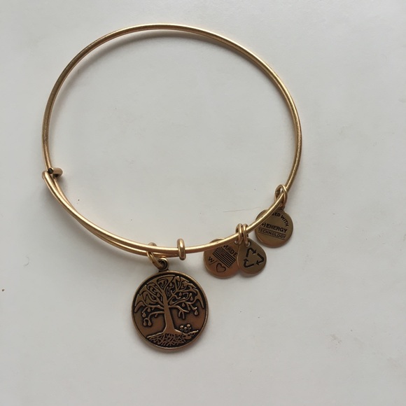 Alex and Ani Jewelry - Alex and Ani Bracelet